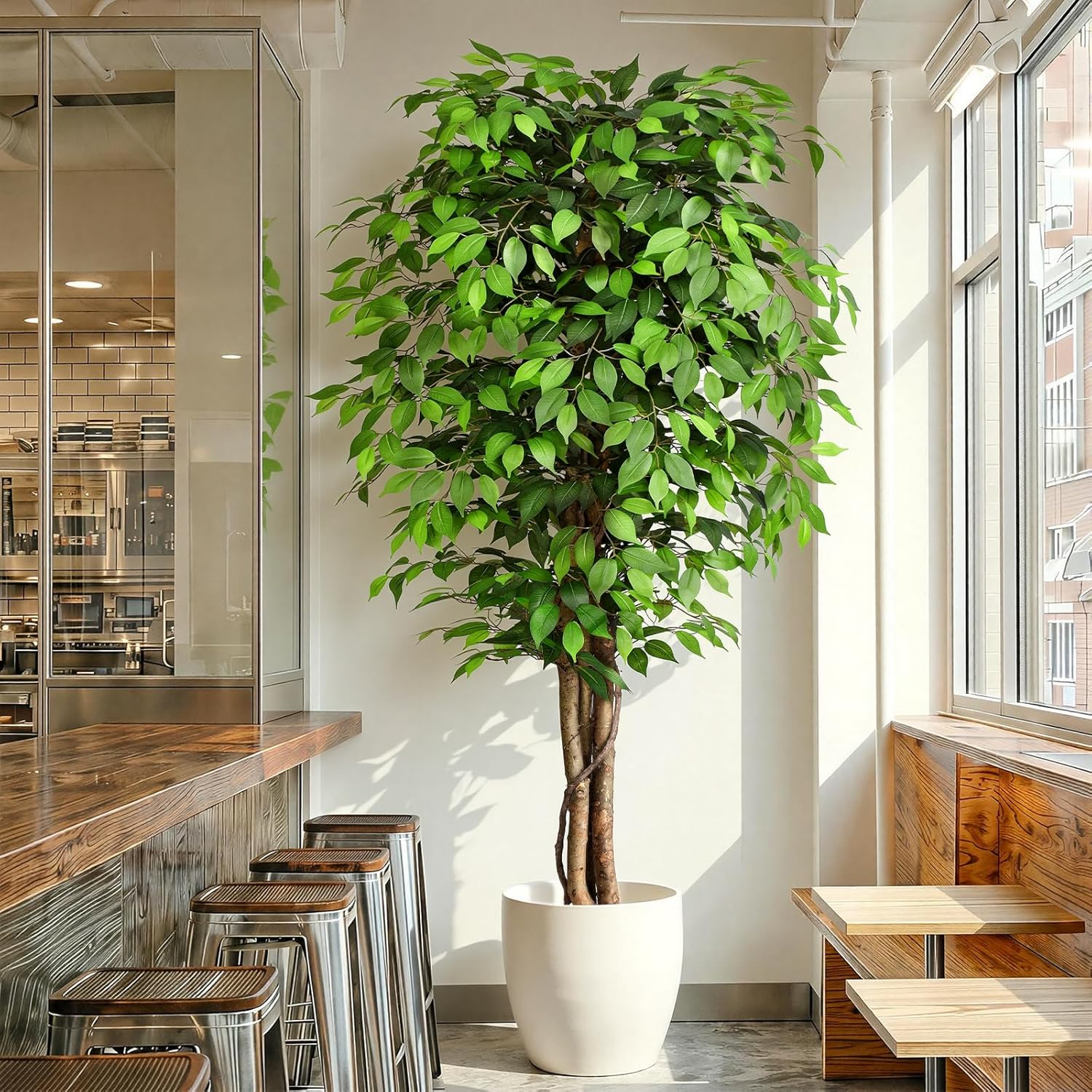 Dracaena Marginata - Árbol de Ficus Artificial Realista con