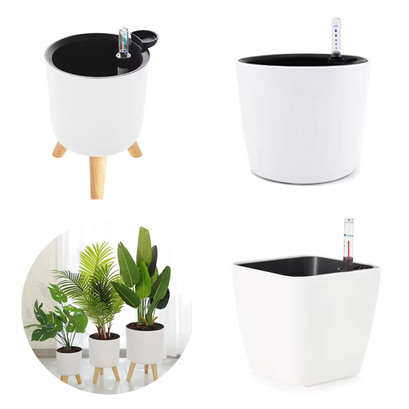 Aloe Vera Pot - Maceta de plástico para interiores con