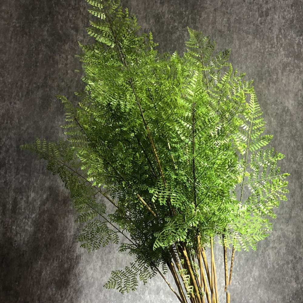 Dracaena Marginata - Ramas de Helecho Artificiales Realistas, Hechas