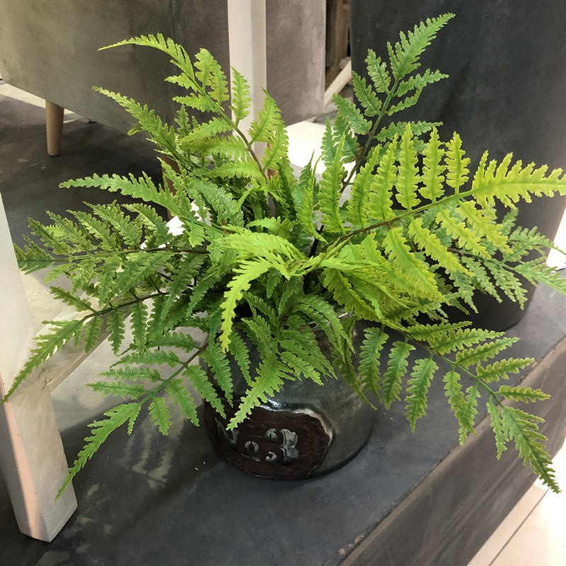 Dracaena Marginata - 1 Uds. Plantas artificiales para dormitorio,