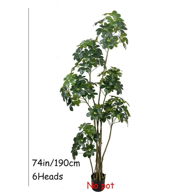 Árbol Tropical de plantas arti - Dracaena Marginata reseña y precio
