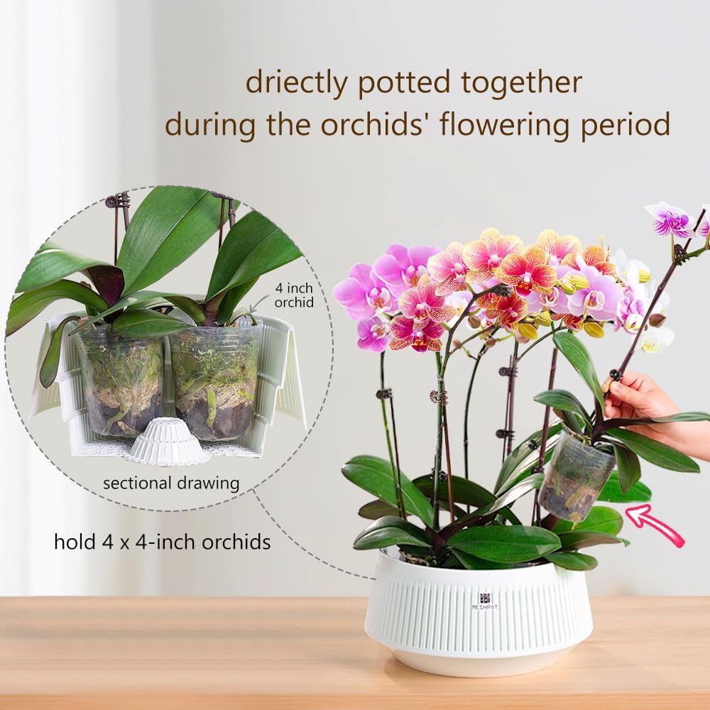 Maceta de malla para orquídeas - Aloe Vera Pot reseña y precio