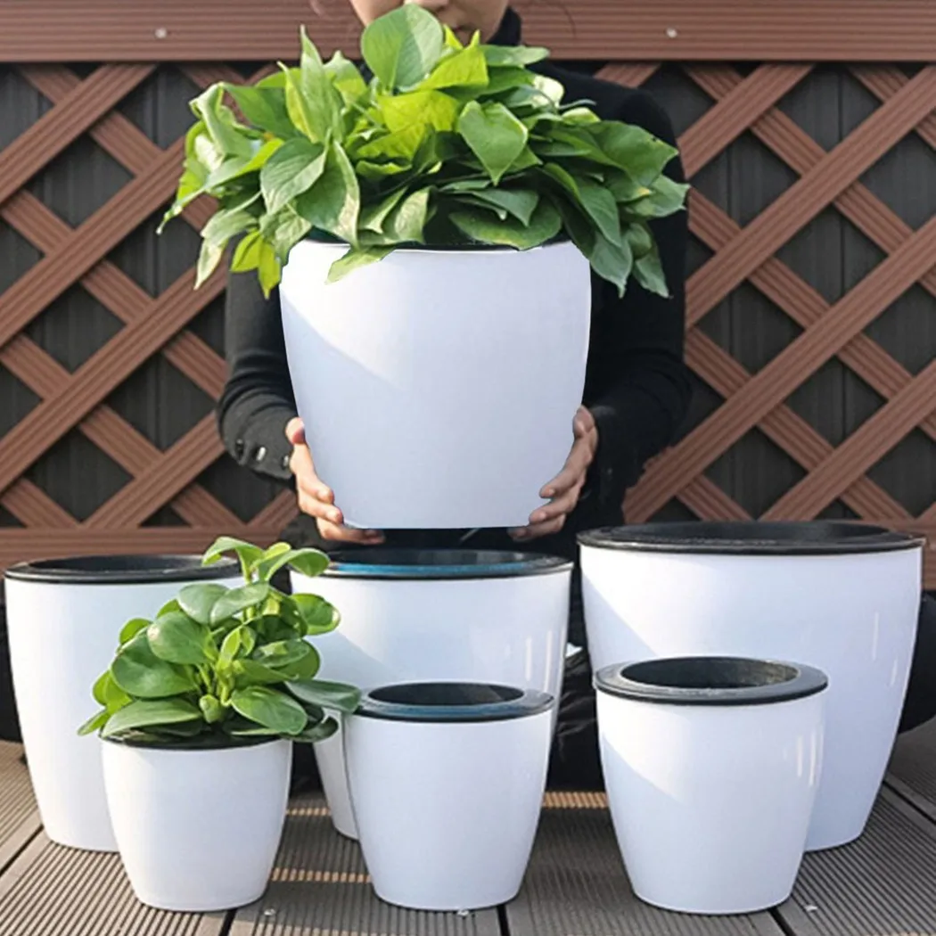 Maceta perezosa para plantas c - Aloe Vera Pot reseña y precio