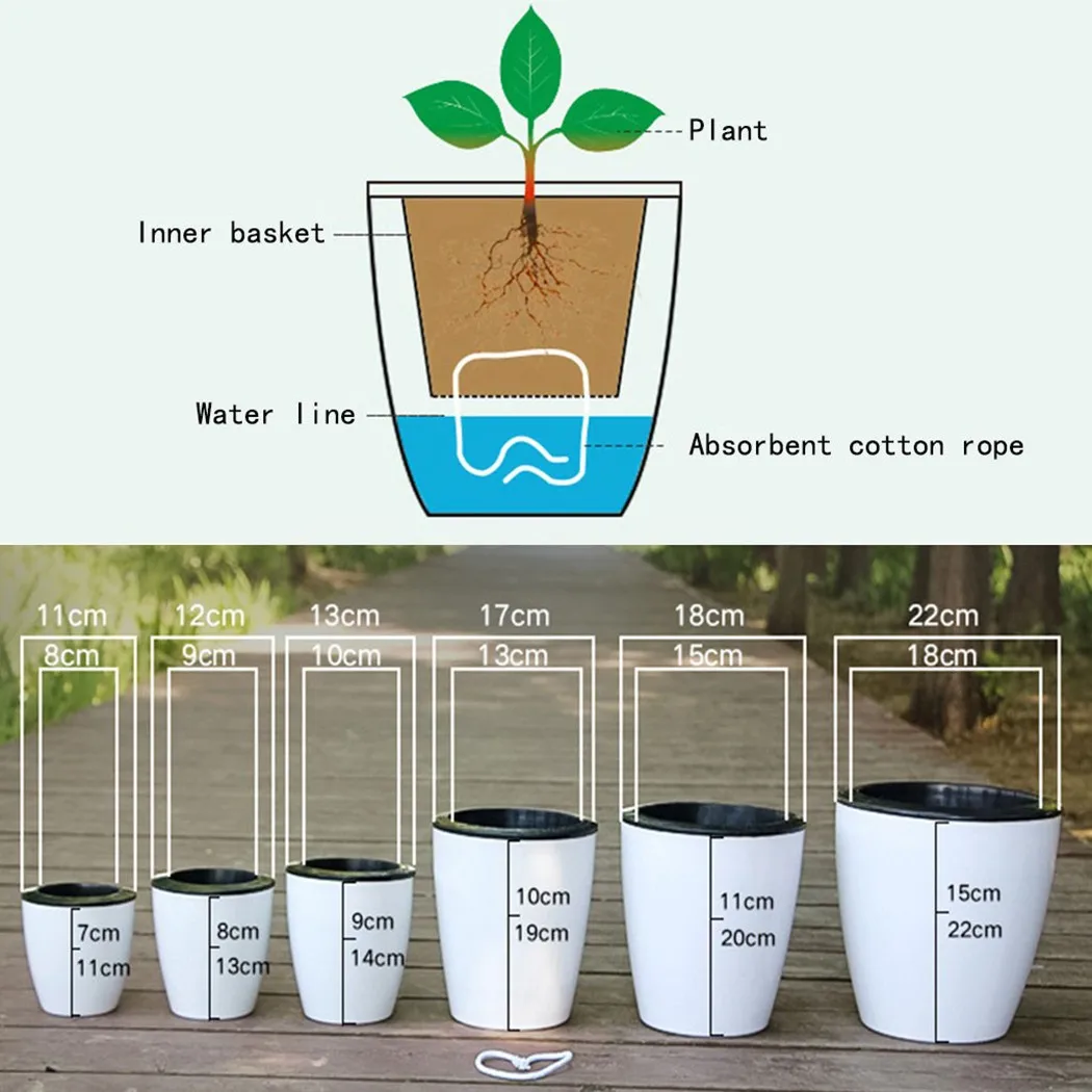 Maceta perezosa para plantas c - Aloe Vera Pot reseña y precio