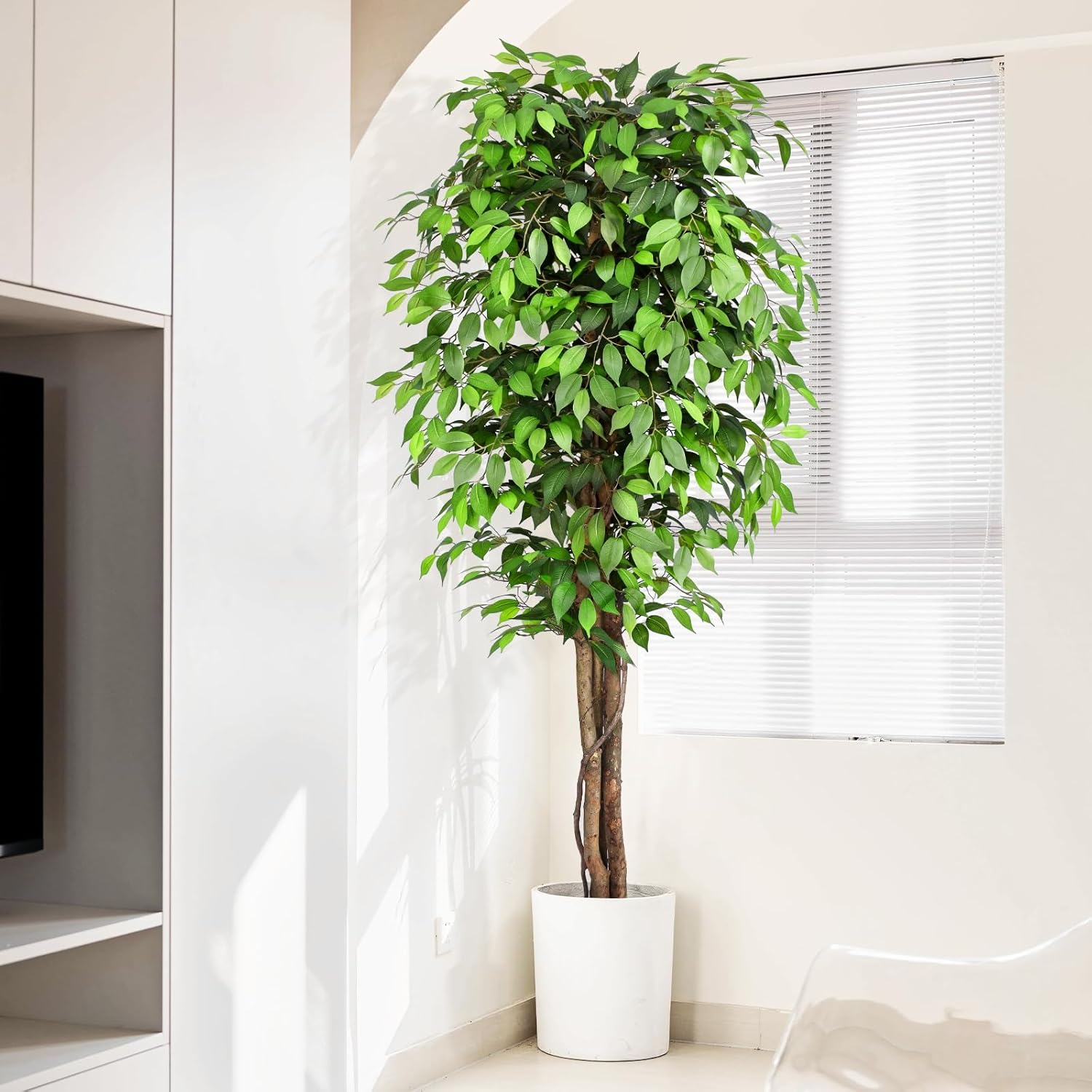 Árbol de Ficus Artificial Real - Dracaena Marginata reseña y precio