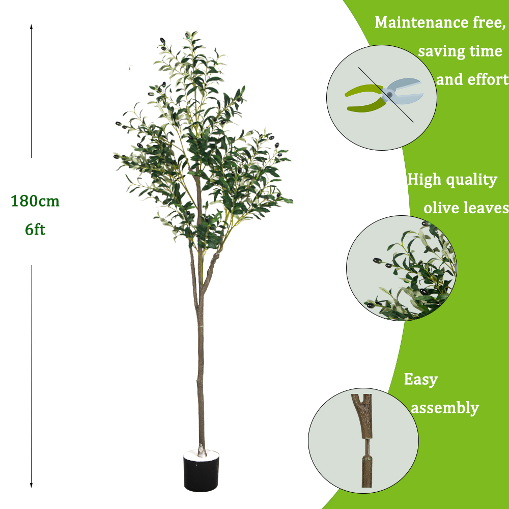 Plantas de olivo artificiales  - Dracaena Marginata reseña y precio