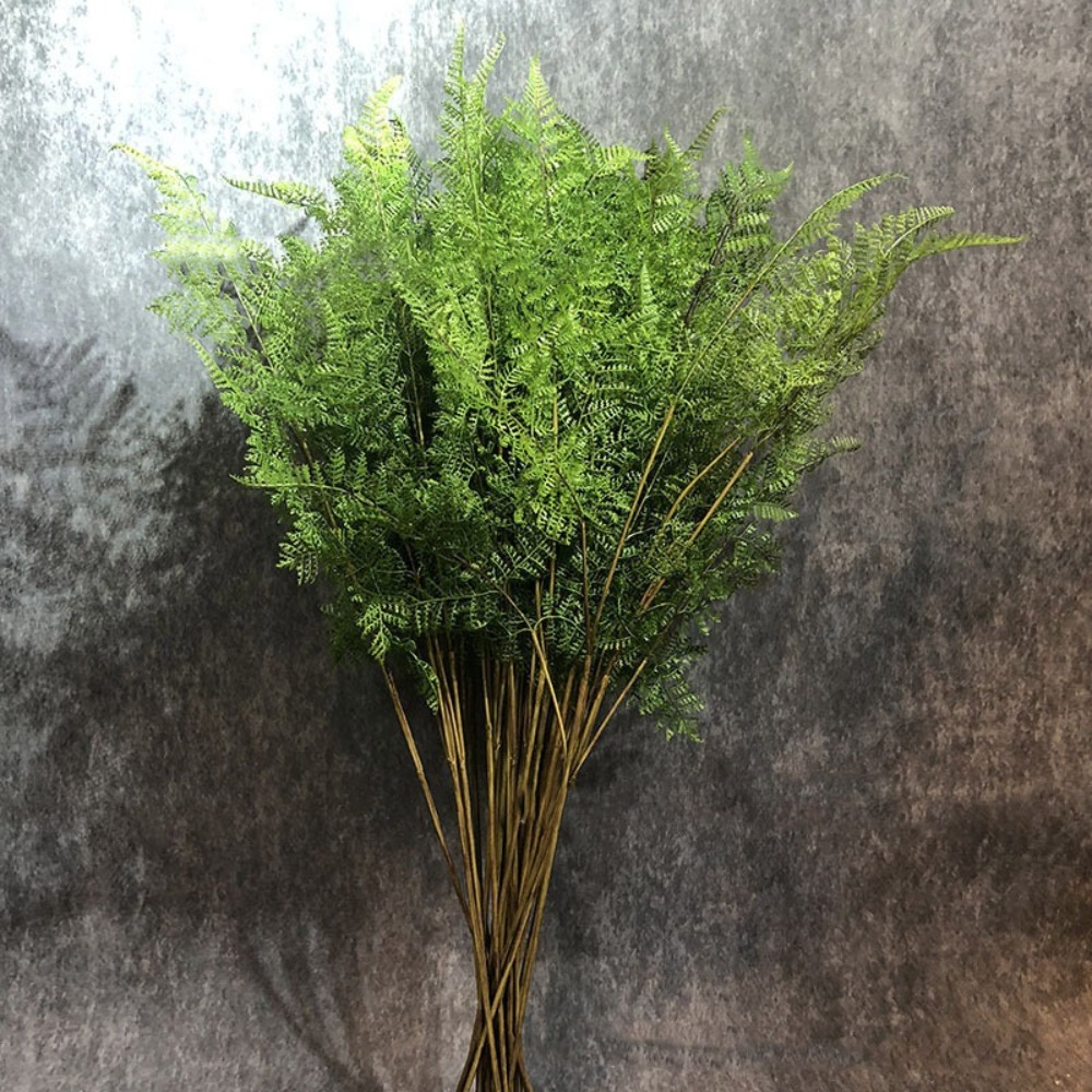 Ramas de Helecho Artificiales  - Dracaena Marginata reseña y precio