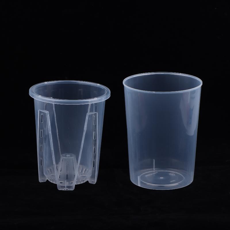 Maceta de Plástico Transparent - Aloe Vera Pot reseña y precio