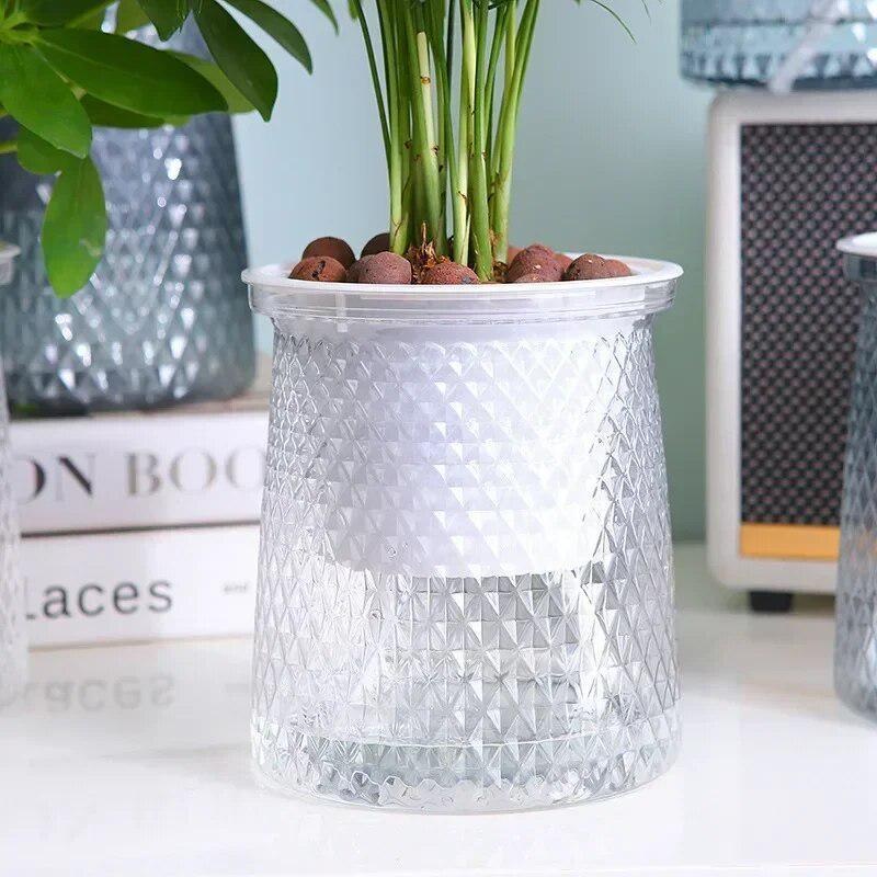 Maceta de plástico transparent - Aloe Vera Pot reseña y precio