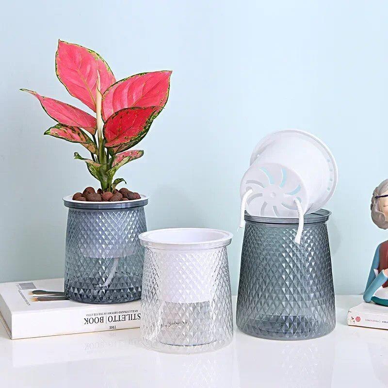 Maceta de plástico transparent - Aloe Vera Pot reseña y precio