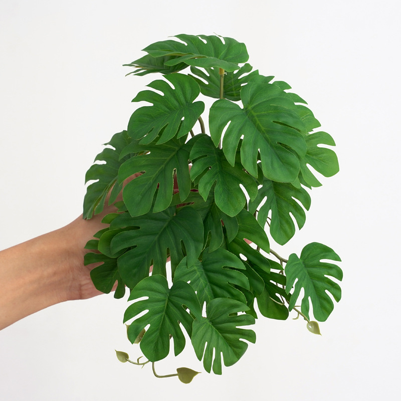 Plantas Artificiales para Terr - Monstera Adansonii reseña y precio