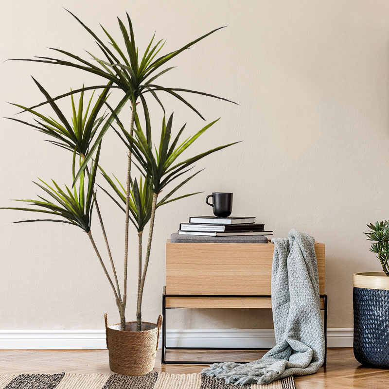Plantas Dracaena artificiales  - Dracaena Marginata reseña y precio