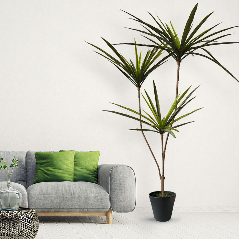 Plantas Dracaena artificiales  - Dracaena Marginata reseña y precio