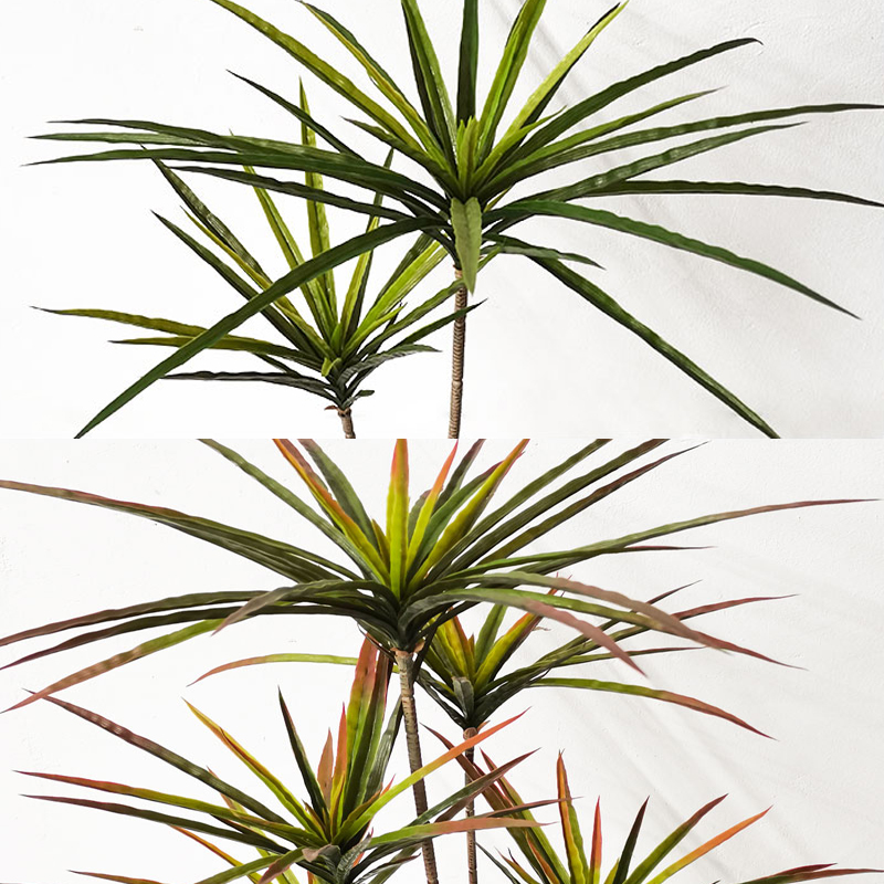 Plantas Dracaena artificiales  - Dracaena Marginata reseña y precio