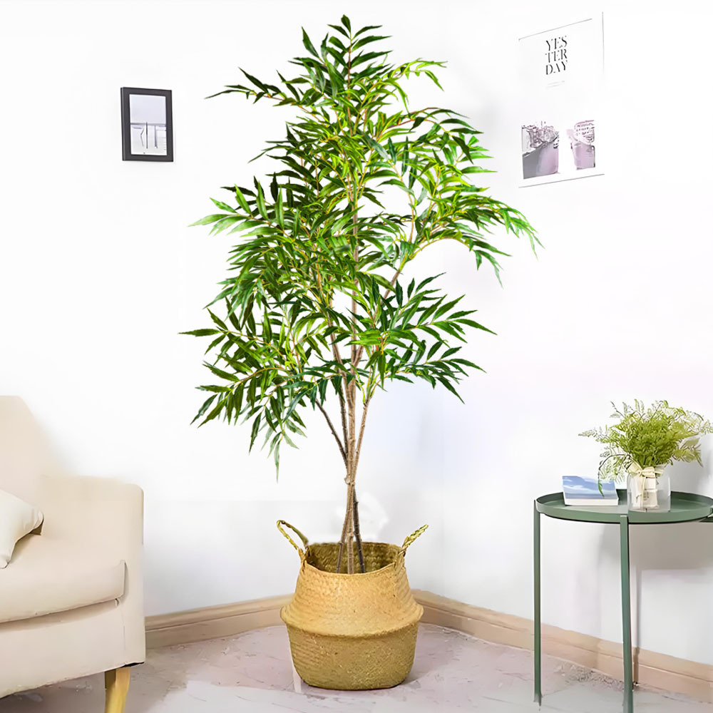 Plantas Nandina artificiales g - Dracaena Marginata reseña y precio