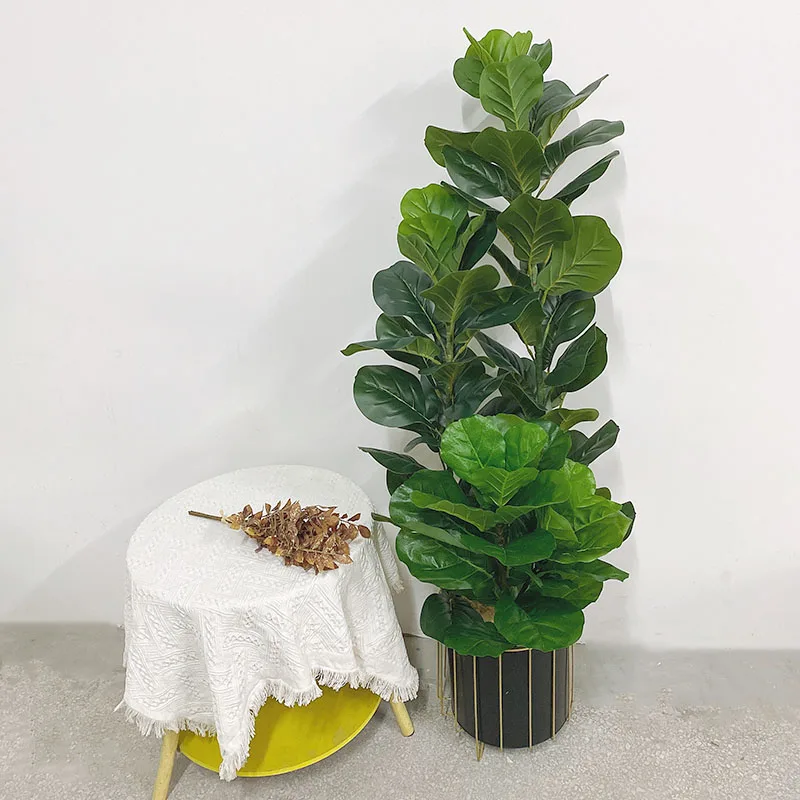 Planta Artificial de Ficus Lyr - Ficus Lyrata Tree reseña y precio