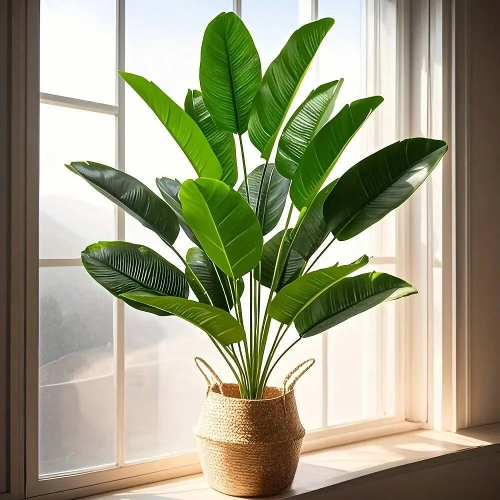 1 unidad de plantas artificial - Ficus Lyrata Tree reseña y precio