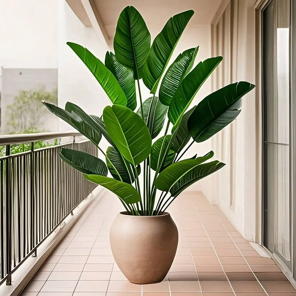 1 unidad de plantas artificial - Ficus Lyrata Tree reseña y precio