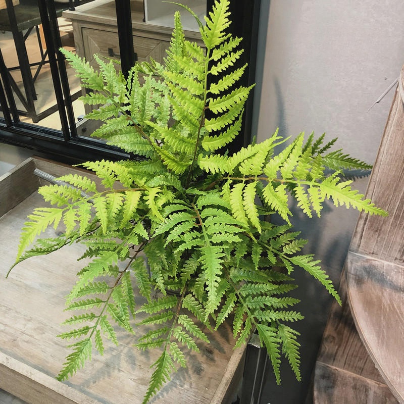 1 Uds. Plantas artificiales pa - Dracaena Marginata reseña y precio