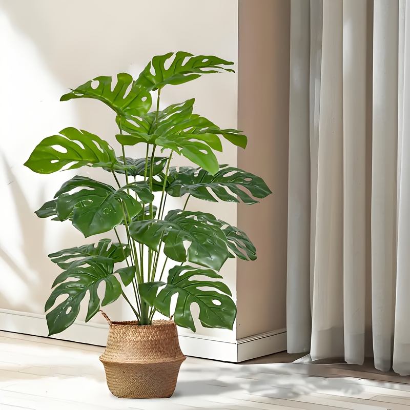 Plantas de palma artificiales  - Monstera Adansonii reseña y precio