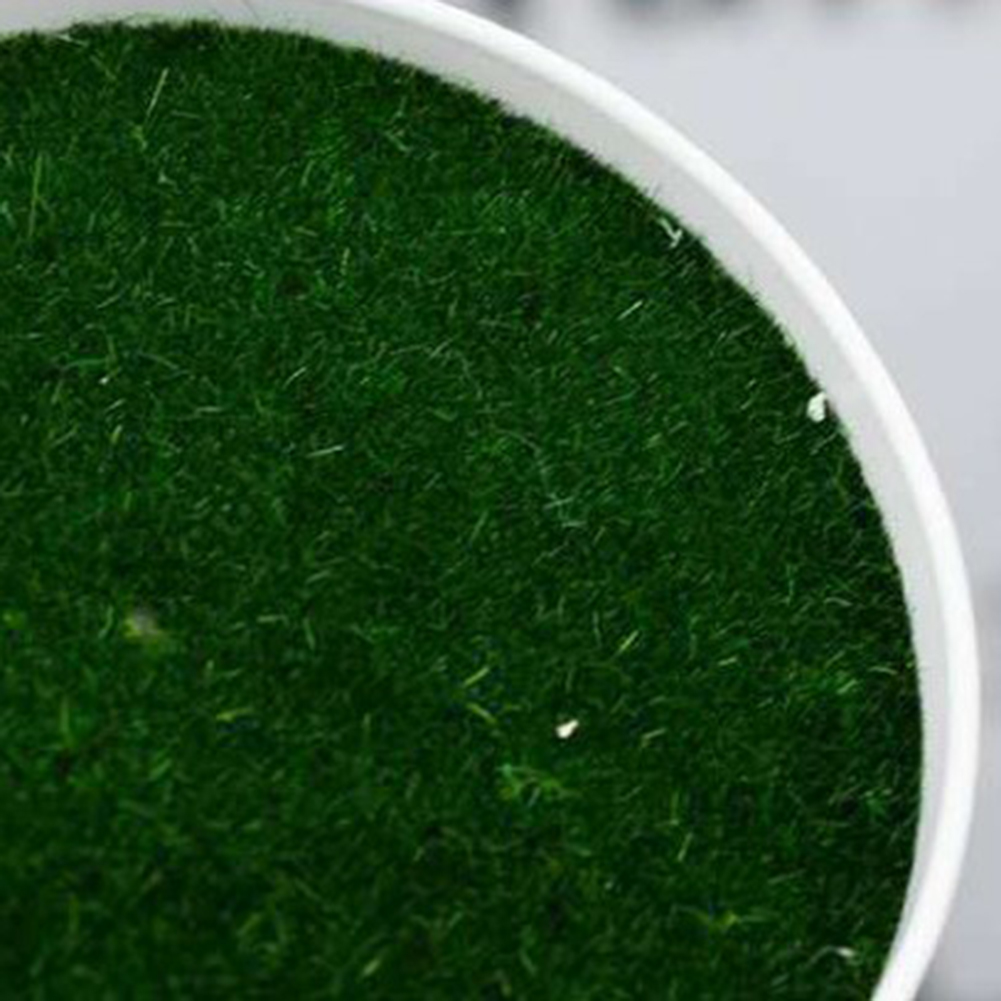 Maceta de plantas artificiales - Aloe Vera Pot reseña y precio