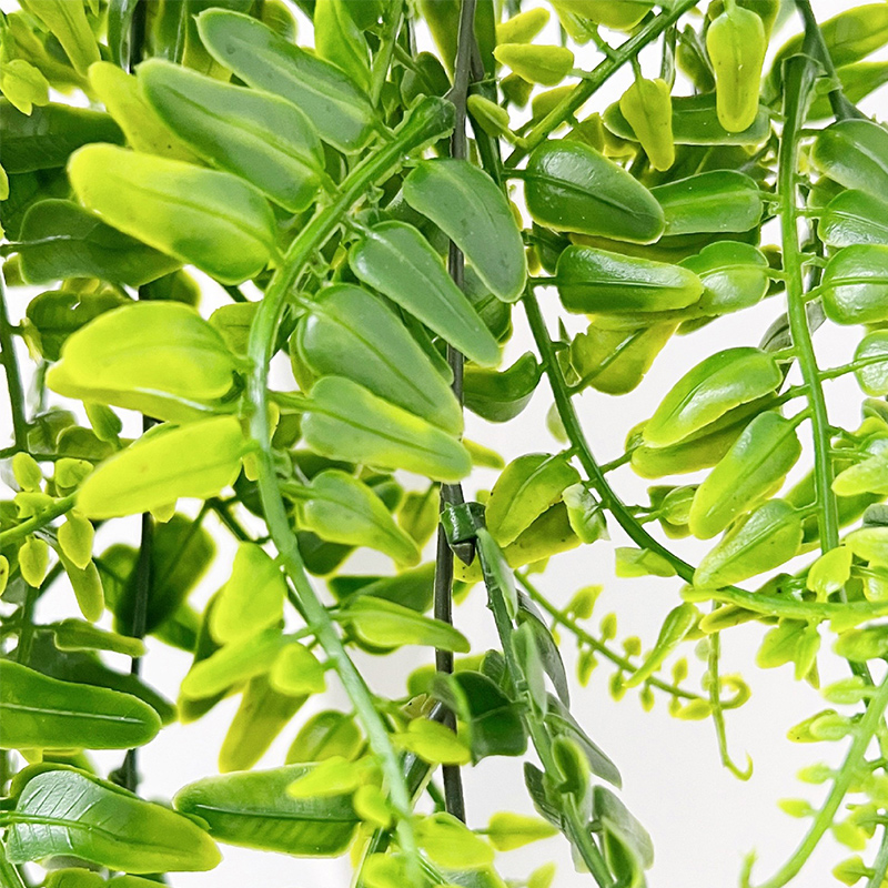 90cm hojas de helecho persa en - Monstera Adansonii reseña y precio