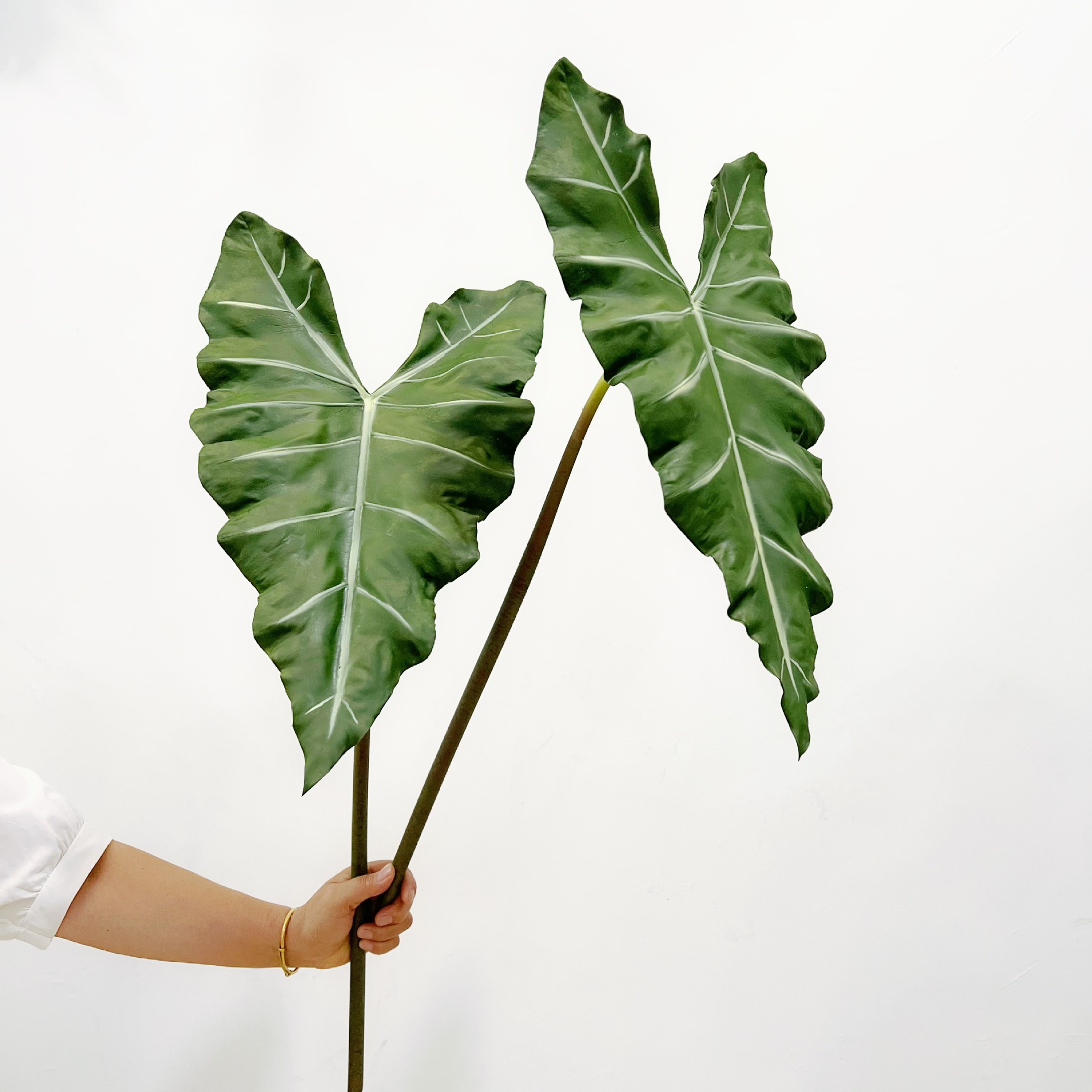 Planta verde de PU larga simul - Monstera Adansonii reseña y precio